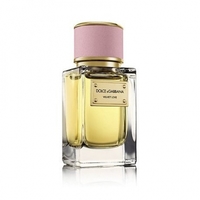 Dolce Gabbana Velvet Love 100 мл